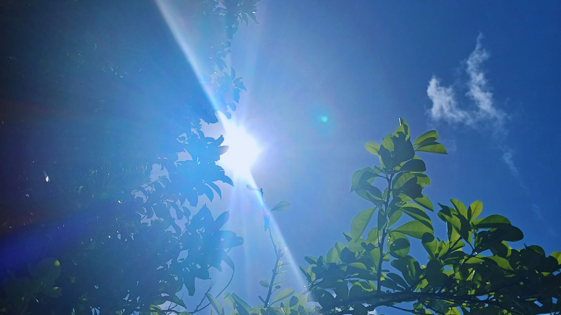 Mindful Mornings: A Simple Routine to Ground Yourself Daily