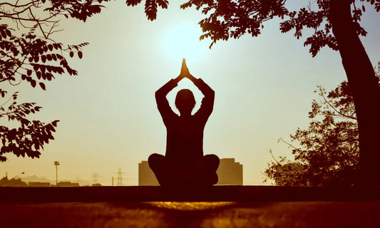 3 Science Based Reasons to Begin Meditation Today & Steps to Get Started