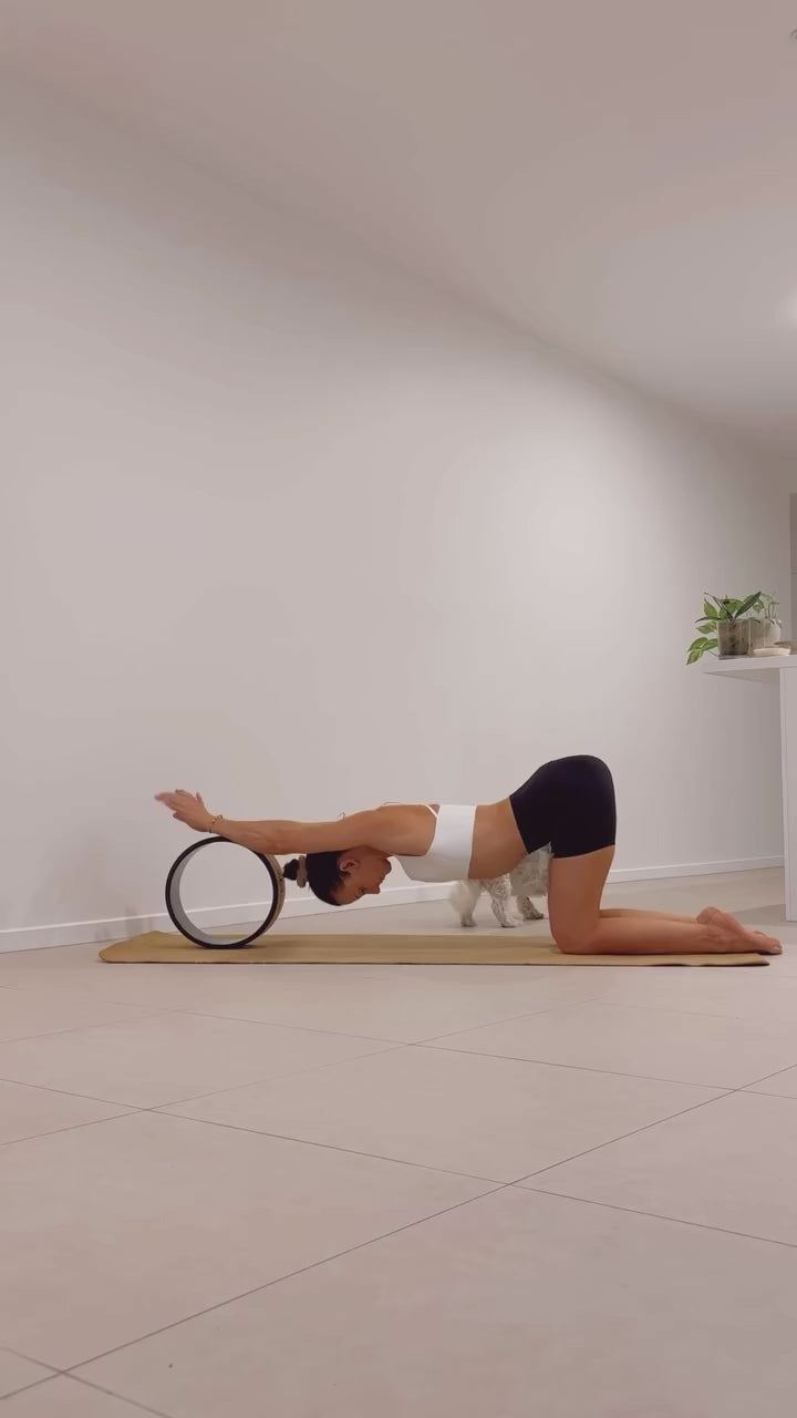 Yoga Cork Wheel